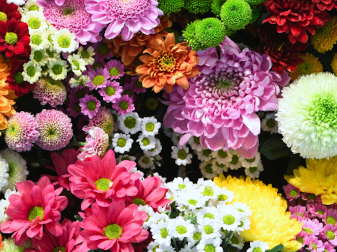 Diamond painting bosje bloemen