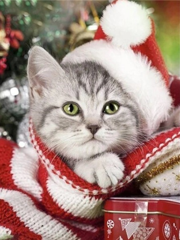 Diamond painting kat cadeau
