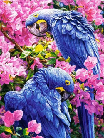 Diamond painting Papegaaien