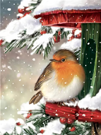 Diamond painting winter vogels