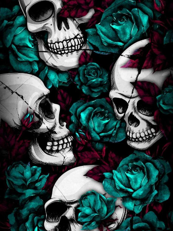 Diamond painting schedel skull rozen